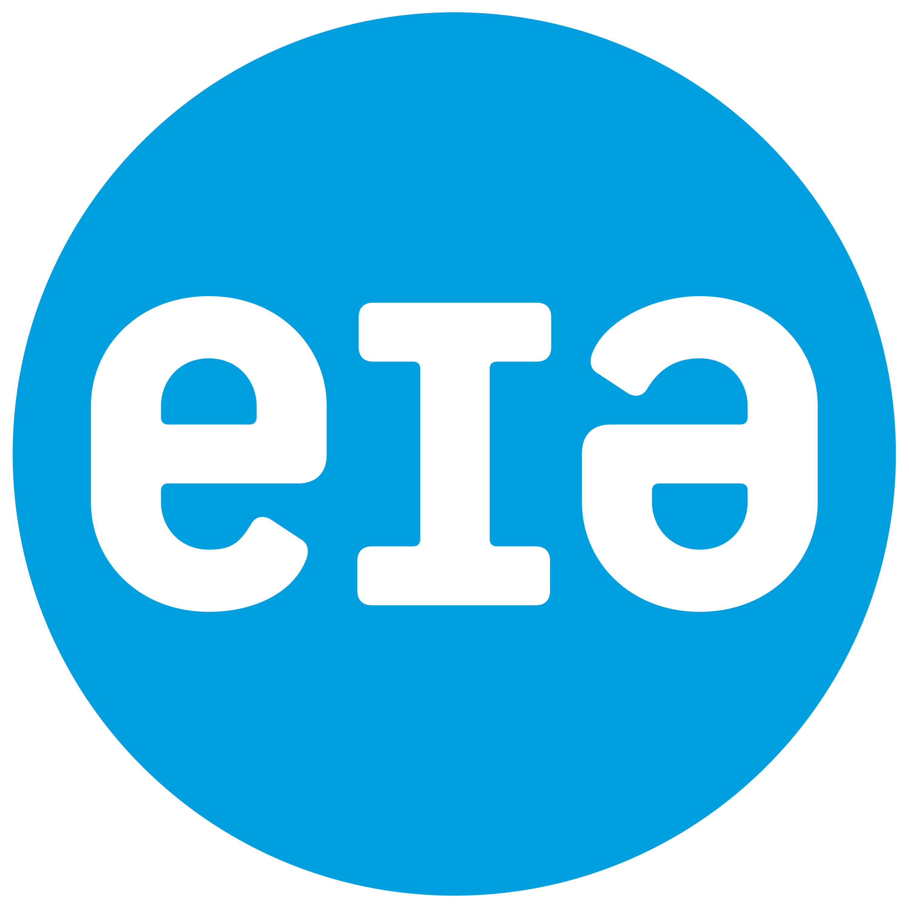 Nitrous oxide - EIA